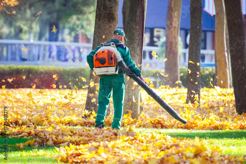 Worker uses leaf blower to clear fallen leaves in a park during autumn
