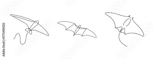 Three hand drawn gliders in motion artistic line drawings