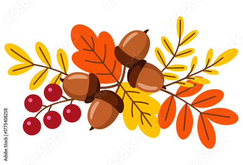 Vector illustration of a branch of a tree, Autumn floral vector illustration of a rowan branch with berries and leaves, perfect for a nature-inspired design or decoration, branch with berries.