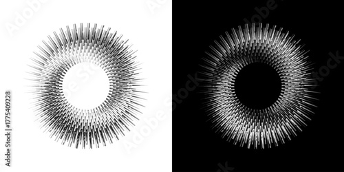Dynamic abstract spiral sound wave rhythm lines. Circular spiral sound wave rhythm of lines. Circular futuristic abstract lines, black and white background.	