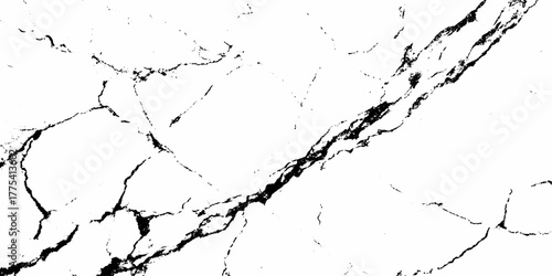 Abstract black white branching crack grunge texture.