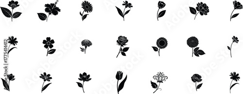 Flowers silhouette icon collection. Rose, sunflower, tulip, lily, daisy and more. floral vector Illustration.