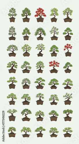 Collection of potted bonsai trees with green and red leaves.