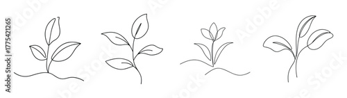 Line art depicting stages of plant growth and care procedures