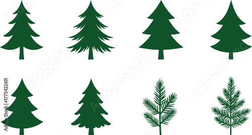Evergreen trees vector set, stylized conifer illustrations, pine and fir tree collection, green forest design elements, natural woodland vector art for decoration