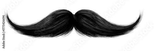 A lush, meticulously rendered, dark, curved mustache. The dense texture is finely detailed