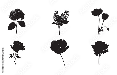 Vintage botanical silhouettes of various flowers and plants. Including lilies, carnations, and other floral elements. Vintage illustration, isolated vector set of elements.