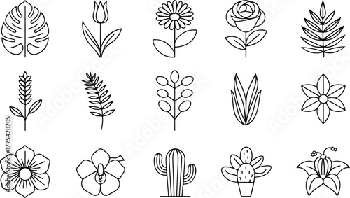 Outline Botanical Elements and Flowers leaf plant