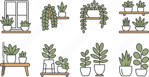 Potted Plants on Shelves and Tables houseplants indoor plants
