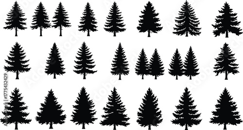 Black pine tree silhouette collection, evergreen forest vector set, conifer tree shapes, nature illustration bundle, isolated fir tree icons for design, decoration, landscape, and pattern creation