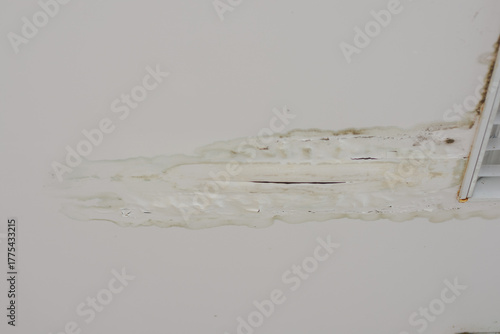 Water damage and mold visible on a white ceiling near a vent.