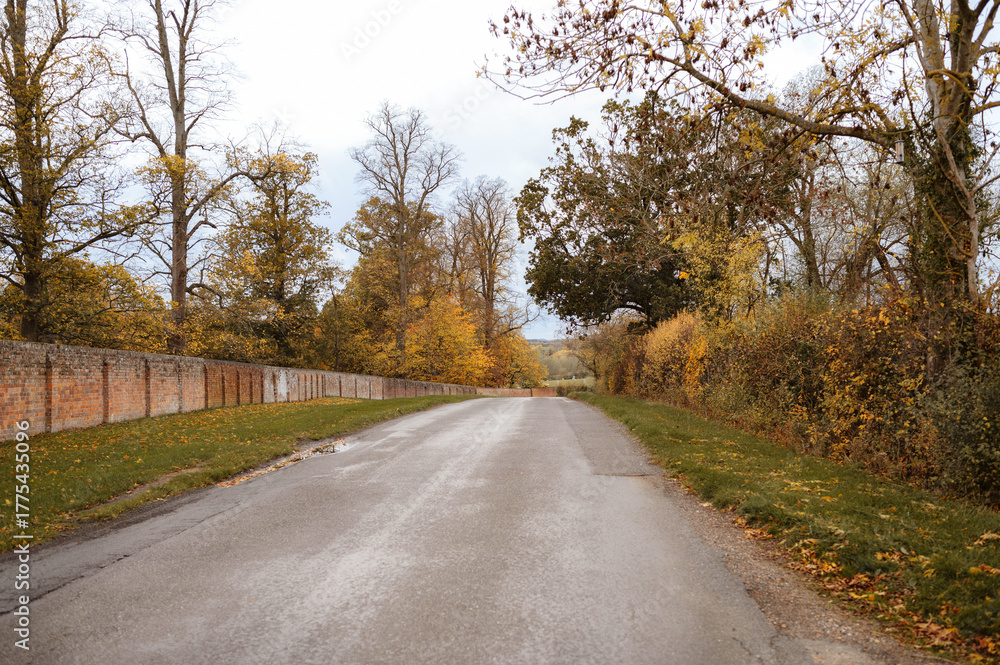 Fototapeta premium Empty autumn country road. High quality photo