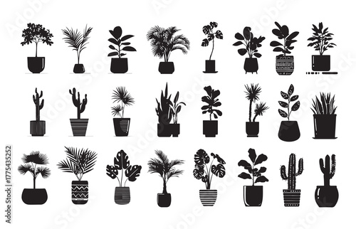 Silhouettes of potted plants in various pots. Including palms, fiddle leaf plants, and cacti. Foliage in white and cream pots. Indoor plants for decoration and freshness. Set of home decor elements is