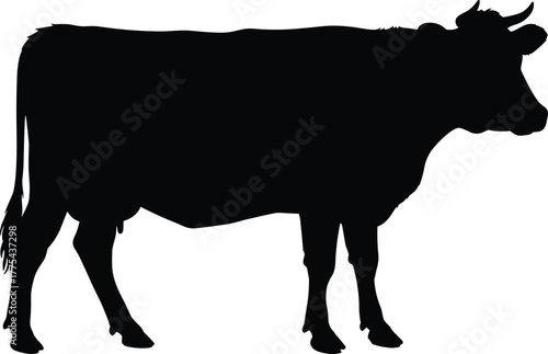 Black cow silhouette vector, standing dairy cattle profile with horns and udder, farm livestock icon for agricultural branding and educational use