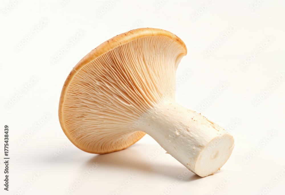 Fototapeta premium Fresh mushroom with a smooth cap and detailed gills, perfect for culinary use