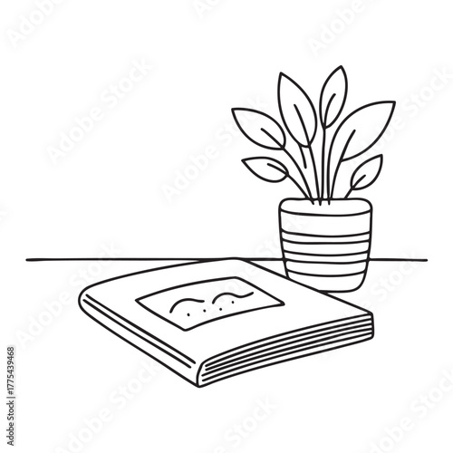 A magazine set near a plant casting gentle shadows