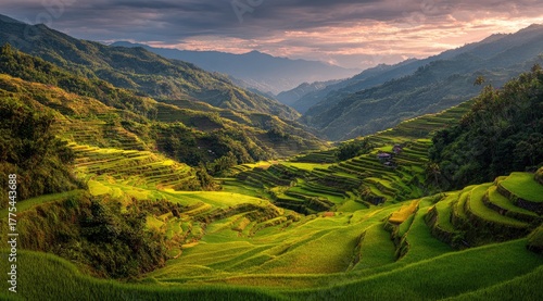 Stunning mountain valley with terraced rice paddies at sunrise