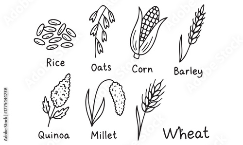 Grain Silhouette Icons – Botanical Vector Set of Rice, Corn, Wheat, and More
