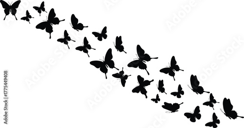 Diagonal swarm of black butterfly silhouettes, vector pattern for stationery and wall art, nature motif, motion composition, minimalist insect flight, decorative layout