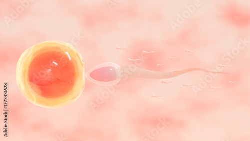 Sperm approaching a large egg cell, a microscopic visualization of the biological process of human or animal fertilization and reproduction. 3D render.