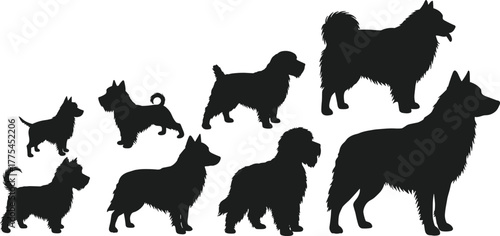 Dog breed silhouettes, set of eight, vector icons, diverse canine shapes, small to large dogs, varied tails and ears, editable EPS