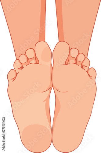 A close-up of human feet and toes against a white background.