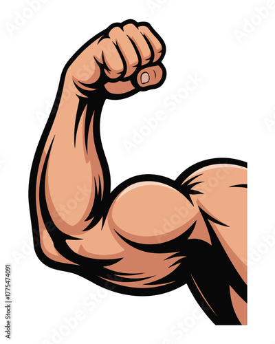 Muscular Arm with Flexed Bicep