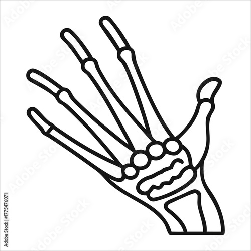 Detailed black and white illustration of a skeletal hand with articulated finger bones and palm structure