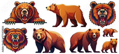 強暴な熊ベクターイラストセット
