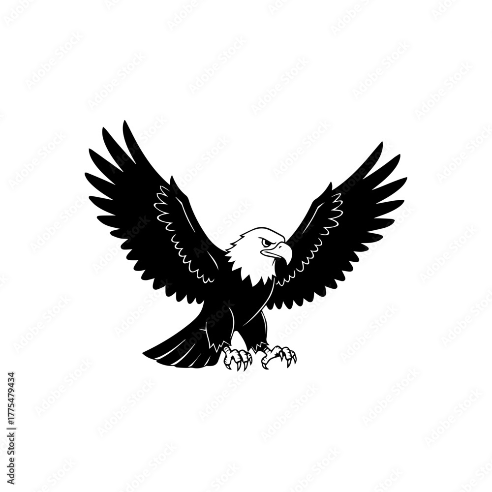 Fototapeta premium eagle in flight