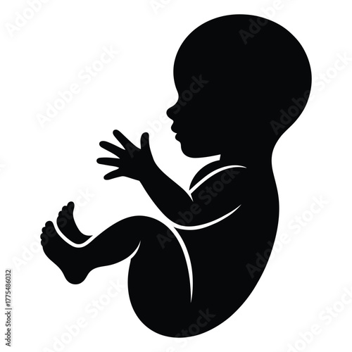Silhouette of a fetus in a womb position