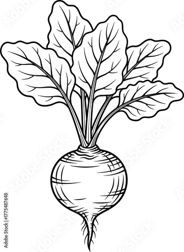 vase with flowers vector