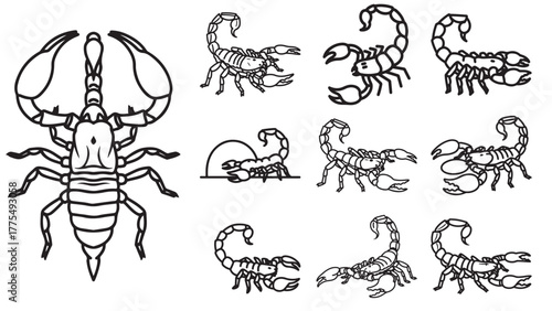 Scorpion Line Art Stroke Icons In Defensive Poses, Desert Arachnid Outline Vector For Wildlife Logos And Caution Graphics