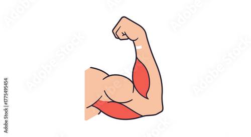 Biceps Flexed Arm Showing Muscle Strength and Power.