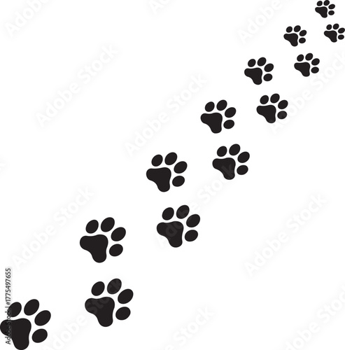 A path of black animal paw prints creating a diagonal trail