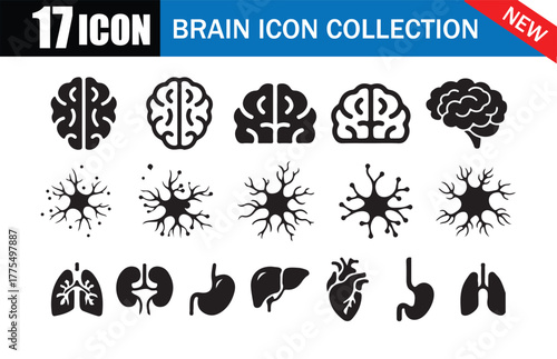 17 Brain, Neuron, and Organ Icon Collection. Black Medical Icons.  Brain, Neuron, Heart, Liver, Lungs, and Kidney Symbols