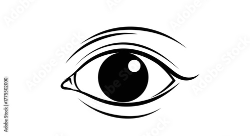 Human Eye Icon | Vision and Observation Symbol Vector Illustration