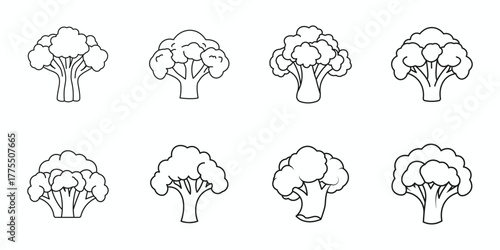 Collection of eight hand drawn broccoli florets fresh healthy food icons simple sketches