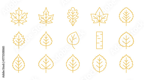 Thin line leaves, icon set art