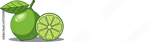 Fresh green lime with leaf and half slice illustration