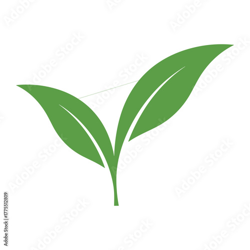 A minimalist green leaf logo symbolizing growth and nature, with a subtle connection line.
