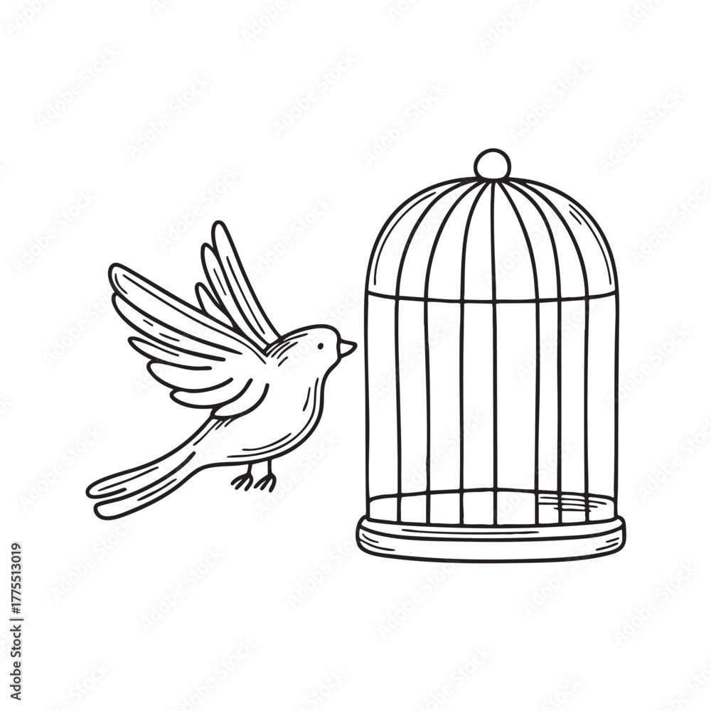 Naklejka premium A bird circles through the zoo beside a cage