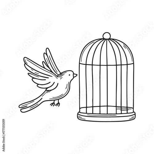 A bird circles through the zoo beside a cage