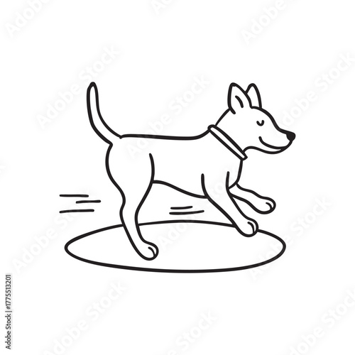A dog races quickly across the green zone
