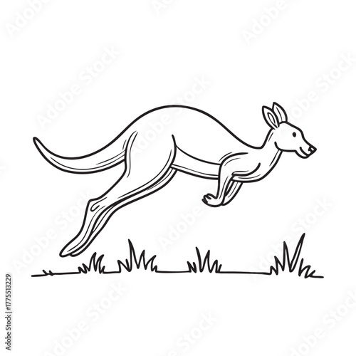 A kangaroo bounding over the grassy zoo field