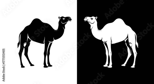 Black and White Camel Silhouettes Vector Illustration