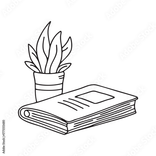 A magazine placed near a plant casting soft shade