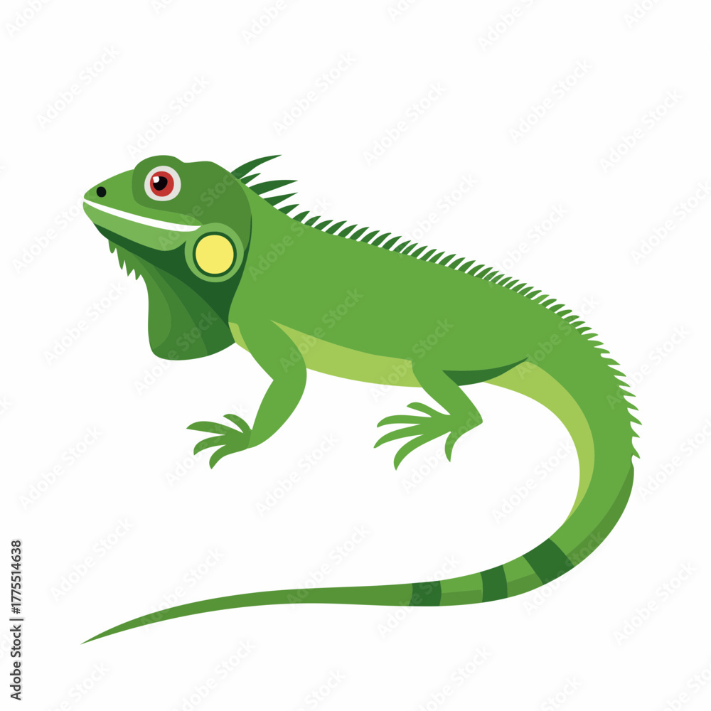 Fototapeta premium A bright green iguana stands on a plain white background, tail extended and eyes alert.