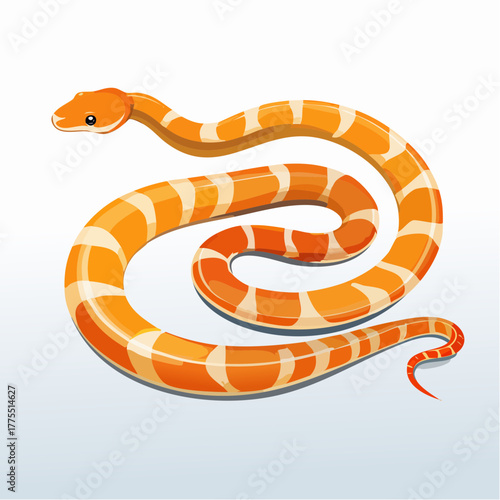 A bright orange ball python is coiled symmetrically into a perfect, tight spiral shape on a smooth surface.