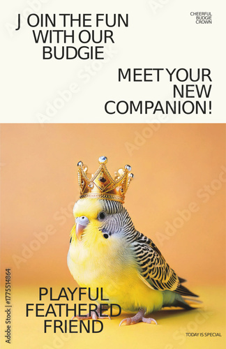A budgie perches on a yellow background with a tiny crown on its head.